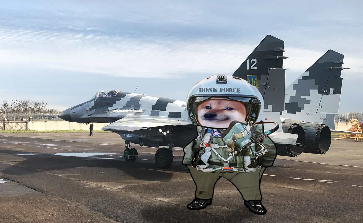 pointerion's tweet image. Bonk Force One. I feel the need, the need for bonk! #NAFO #Fella #Ukraine #nafofleet