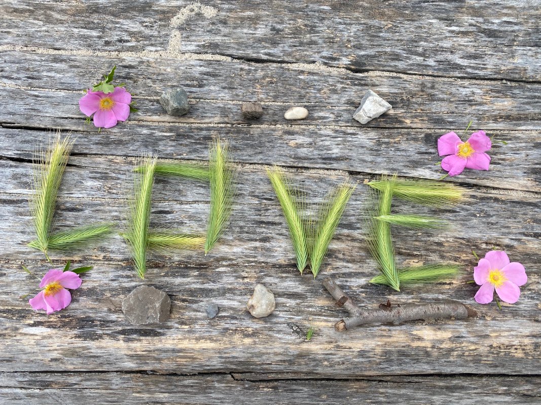 GuildForKids's tweet photo. As we say goodbye to 2022, please support children's authentic development - https://t.co/SCL9wWRgL8 https://t.co/Jy4x0ZeMbp