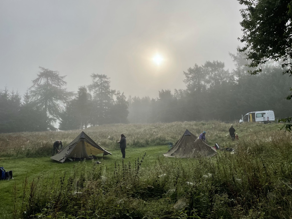 anyonecan tweet media