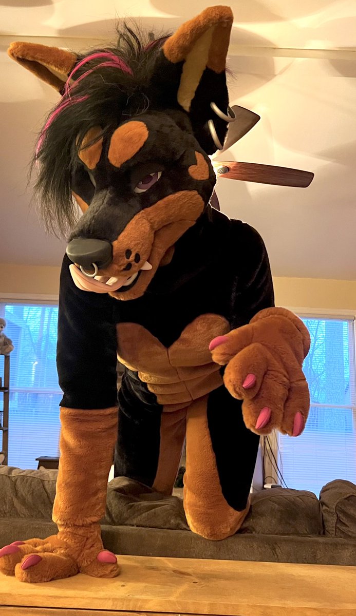 itsSIGNAL's tweet image. Last #fursuitfriday of the year and your lookin TASTY 🫦