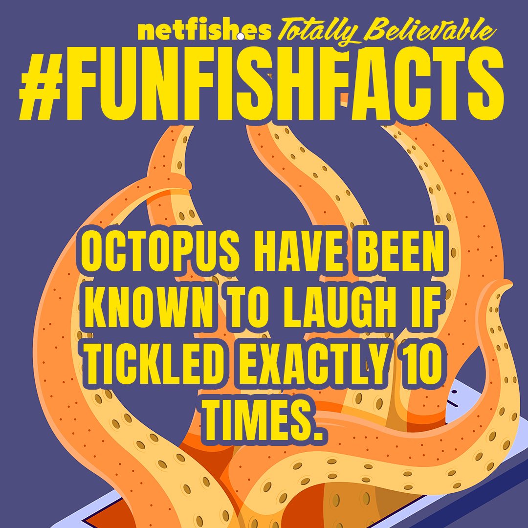 netfishes's tweet image. We have decided to run a limited series of posts titled netfishes Totally Believable #funfishfacts and if you were anticipating bad jokes, well then you are on to something! You may ask yourself, "Why?" netfish.es/2022/12/30/bad…