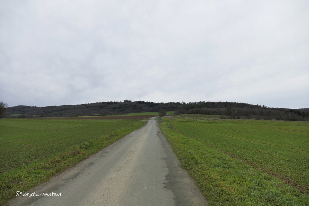 HessenSonja5767's tweet photo. Wanderung zum Hardtsborn Leun/Biskirchen..................... #wandern #Wald #Hardtsborn #Quelle #Wasser #Leun #Biskirchen #Lahntal #Lahn #LahnDillKreis #Mittelhessen #Hessen #Germany https://t.co/iohM0hiSK1