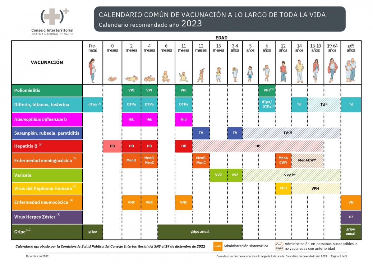 CAV_AEP's tweet photo. IMPORTANTES AVANCES EN EL CALENDARIO VACUNAL DE 2023 DEL MINISTERIO DE SANIDAD. 
Las novedades para la población pediátrica son: 
- Meningococo del serogrupo B, a los 2, 4 y 12 meses
- Gripe en los de 6-59 meses
- VPH en adolescentes varones de 12 años
https://t.co/lq99G7nfzc https://t.co/wntMNlWlaL