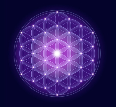 BluShieldTech's tweet photo. The Flower of Life pattern is one of the most powerful patterns in the Universe. Why? You are literally looking at the face of God. This is a cross cut section of DNA, you can see that the DNA also resembles the seed of life, the flower of life. https://t.co/5a6nS9N88z