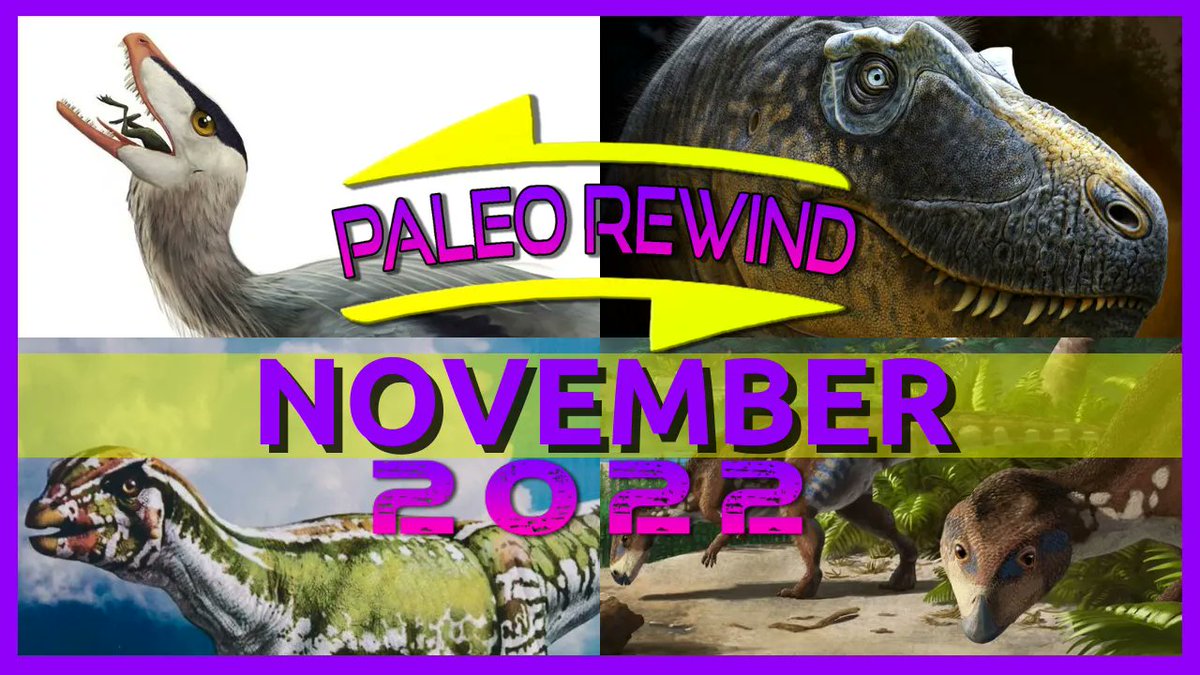 🚨NEW VIDEO OUT NOW!🚨

youtu.be/Kan3WDcWT50

#paleorewind #paleorewind2022 #PaleoAnalysis