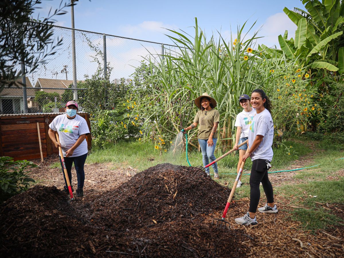Climate Cents tweet media