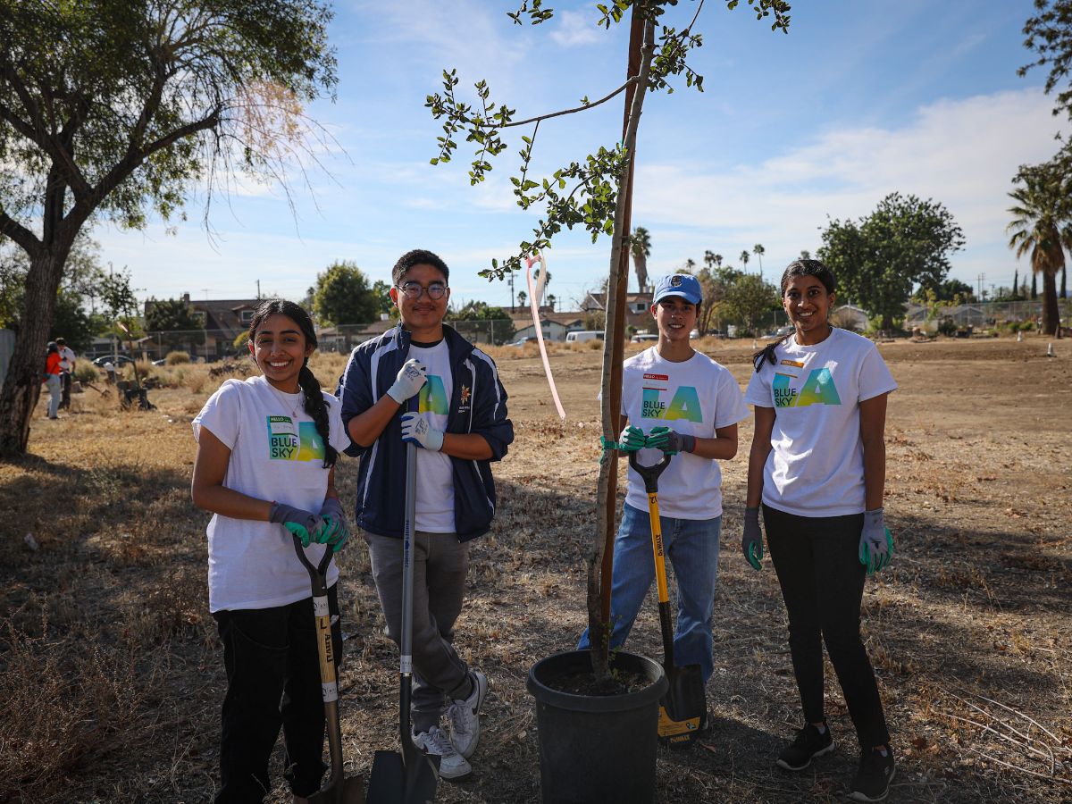 Climate Cents tweet media