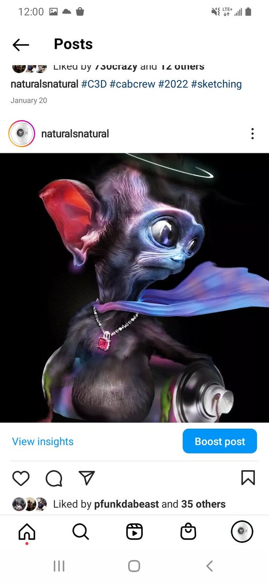 rarible.com/naturalznatural