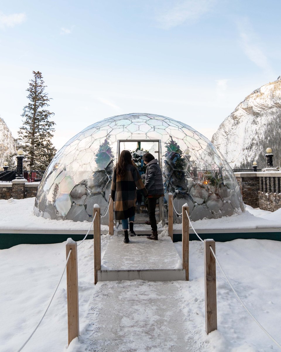 FairmontSprings's tweet photo. Don't dome alone!
Serving everything from an early-risers breakfast to a magical 7-course dinner, our 360° Dome offers the perfect views, perfect dishes and perfect service!
#BanffSprings #ChristmasAtTheCastle #360Dome https://t.co/EG8fzw8nt1