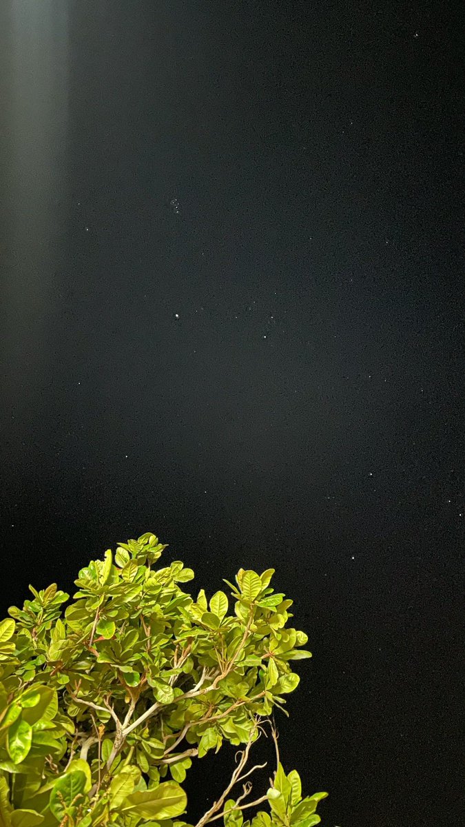 mr11____19's tweet photo. "إنّما المرءُ بقلبهِ"

﴿ إِلَّا مَنْ أَتَى اللَّهَ بِقَلْبٍ سَلِيمٍ ﴾ فإن سلِمَ القلب سلمت الصدور و النوايا، و صلح سائر الجسد كله. https://t.co/LDcElNvmA3