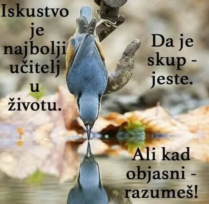 Dominantna011's tweet photo. https://t.co/ZcXr5qMAtm