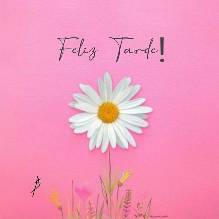 Msol2000's tweet photo. 30-12-22 🗓️
Feliz tarde !!! 🥨☀️
🪬🧿
#ultimoViernes del año ! https://t.co/rT8JyETXyW