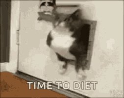 Eva977the1's tweet photo. My New Year's resolution, I'm not going on a diet
Happy New Year https://t.co/yAhiOSKjOu