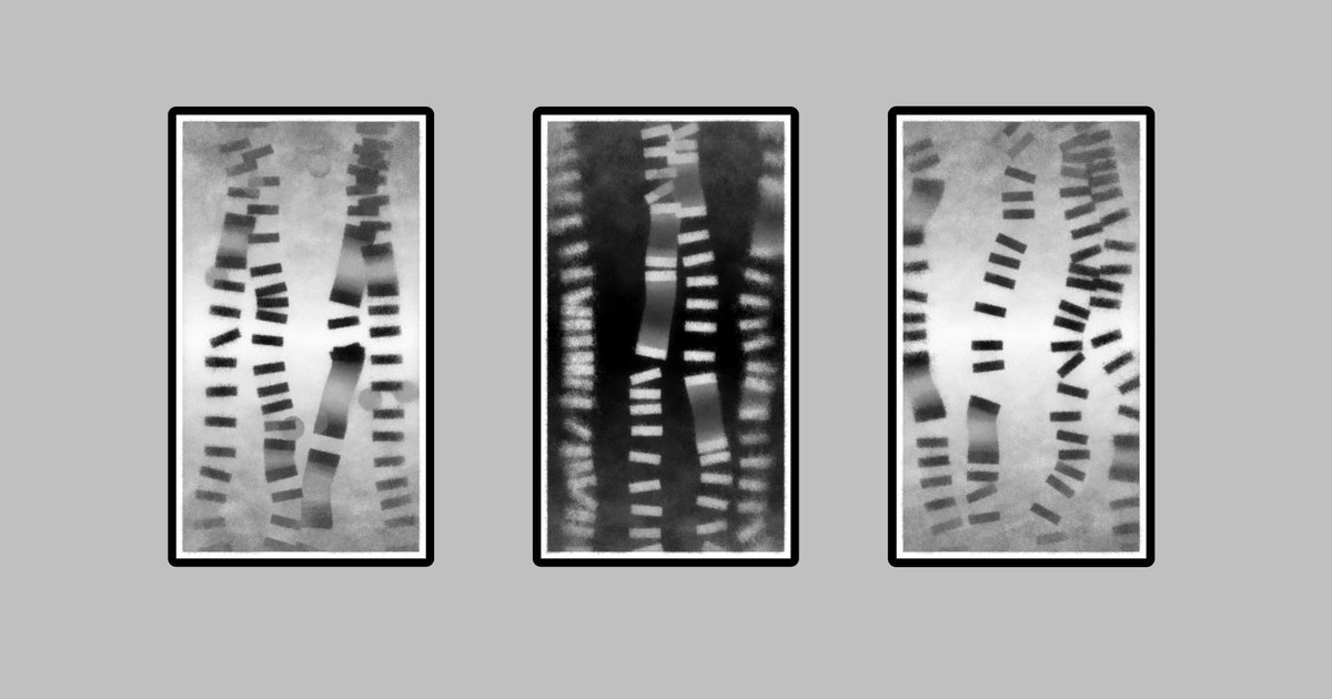 Just acquired this three beautiful pieces from the collection Speed of Dark, by <a href="/CablesAndPixels/">Laurent Houdard</a> x <a href="/tender_art/">Adam Berninger</a>
________
#generativeart #tezosart #fxhash #tezos #tezosnft #genart #nft #CleanNFT #NFTcommunity #NFTdrops