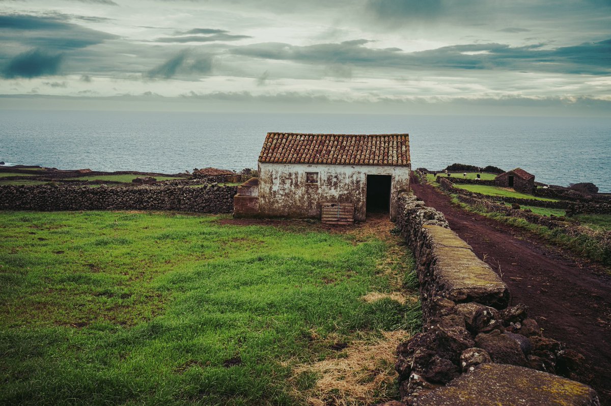 𝙼𝚊𝚛𝚌𝚎𝚕 🥁 tweet media