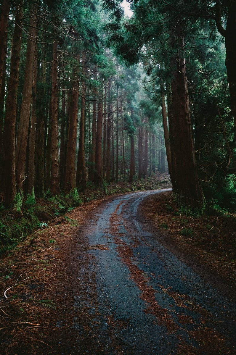 𝙼𝚊𝚛𝚌𝚎𝚕 🥁 tweet media