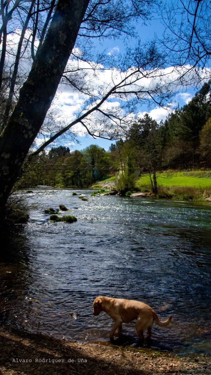 arodriguezu's tweet photo. Por supuesto, los paisajes vuelven a tener su espacio en el #Proyecto24, y en este caso, el agua ha sido la temática que ha unido a todos. https://t.co/ZOWyIkfSIE