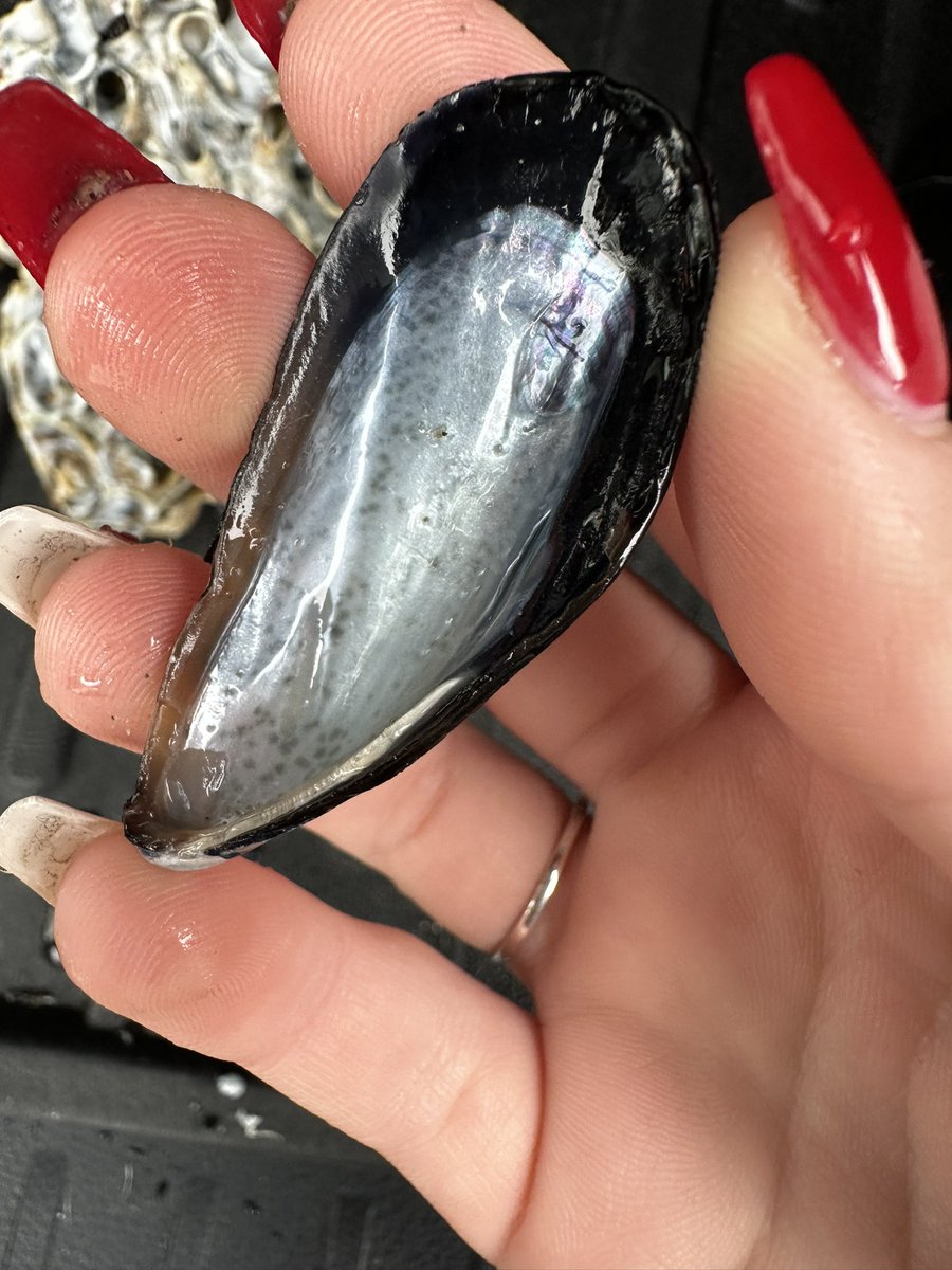 createinchrist's tweet image. Found some cool rocks and shells at the beach today! It’s amazing how much details God put into even the smallest things. I’m so thankful that we have such an awesome God!!!