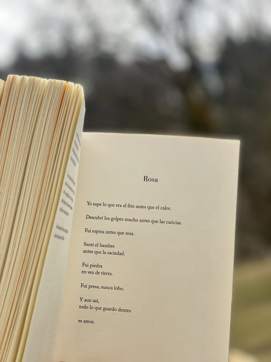 miguelgane's tweet photo. Con este poema, el más importante de mi vida, os deseo mucho, muchísimo amor. 

De mi libro, #OjosDeSol. 

💛 https://t.co/sAAZdfRxv8