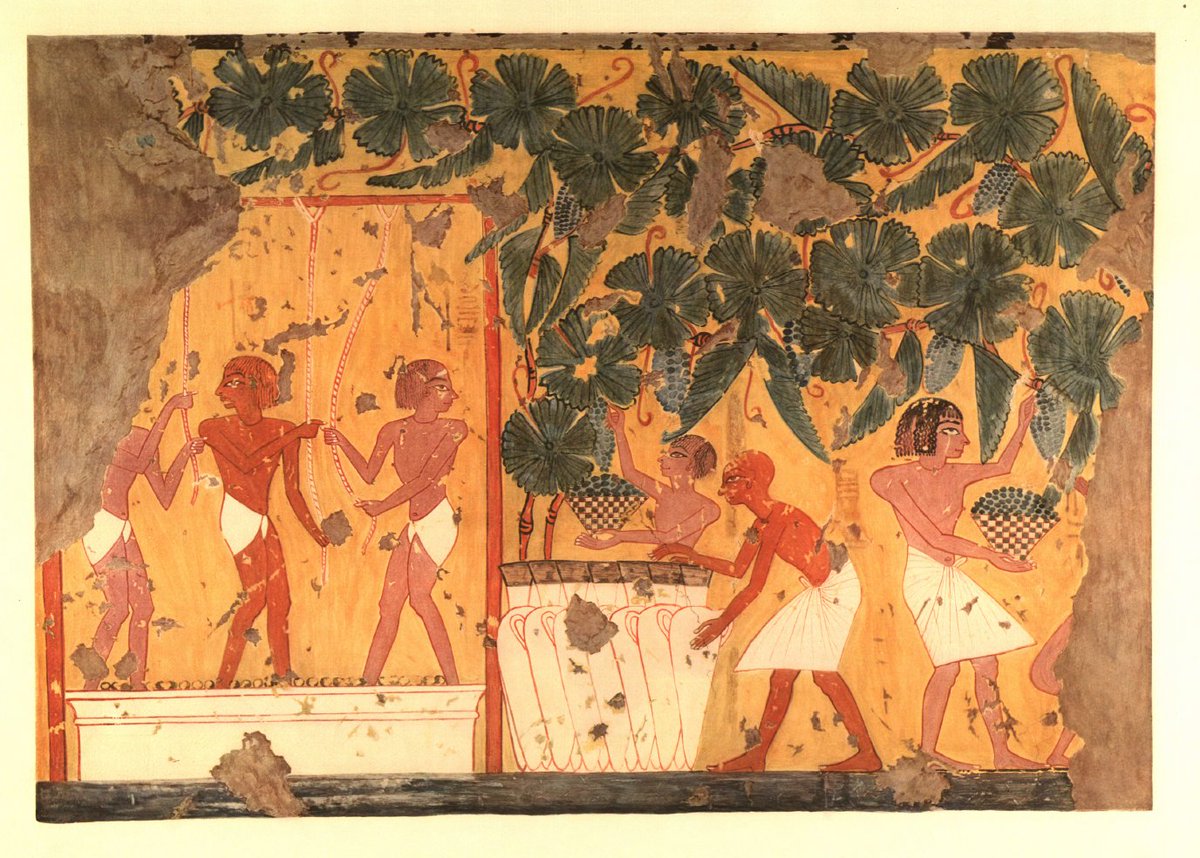 Oriental Institute on Twitter "Here we see evidence for wine