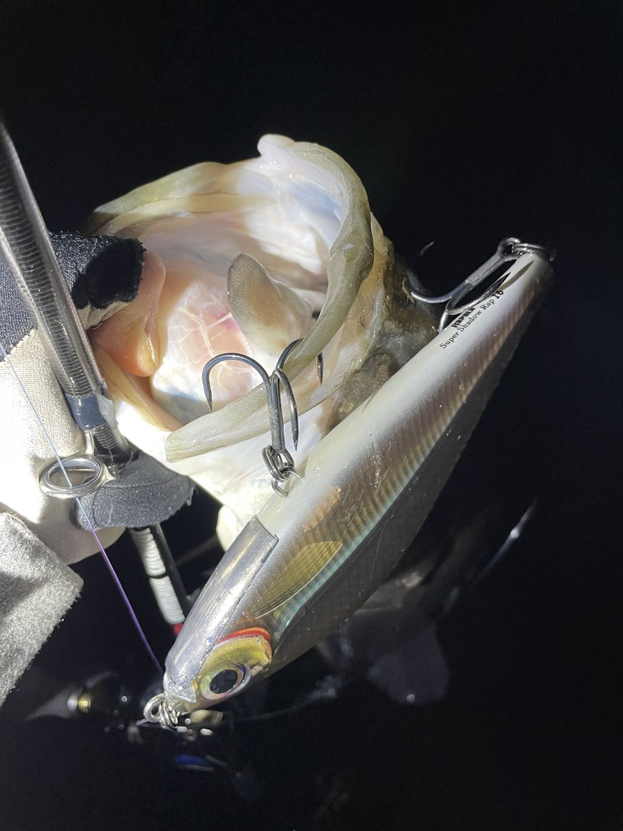 namatamanama's tweet photo. この前回収したSHADOWのリップ切ったやつ。🙏☺️
#鱸通信
#seabass
#BOMBADA
#Lutador55
#RAPALA
#SSDR
#quadfishingtools https://t.co/uMLnWJYiPU