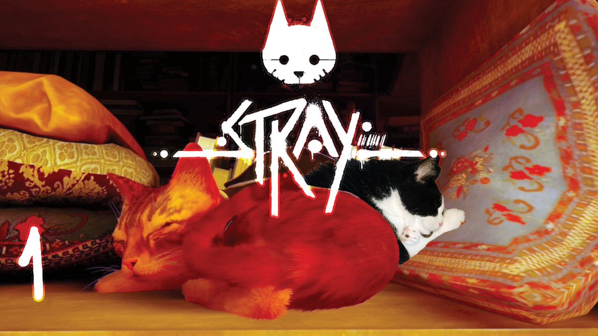 Hi! It's been a while, come join me as a CAT on an adventure to find my friends 🥲❤️🐱 #Stray #StrayPS5 youtu.be/6saJsyLOvXM