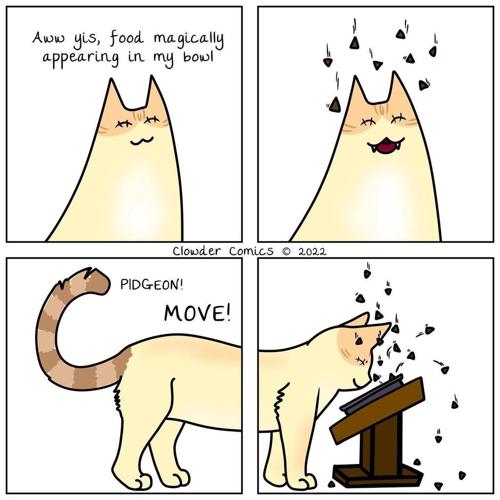ClowderComics's tweet image. First comic back from the break, featuring Pidge! We feed his dry food in handfuls instead of all at once to slow him down and often times he will wait with his face INSIDE his bowl for food to “appear”, causing it to bounce off his face. #specialneedsca… instagr.am/p/CmziRvAuyBh/
