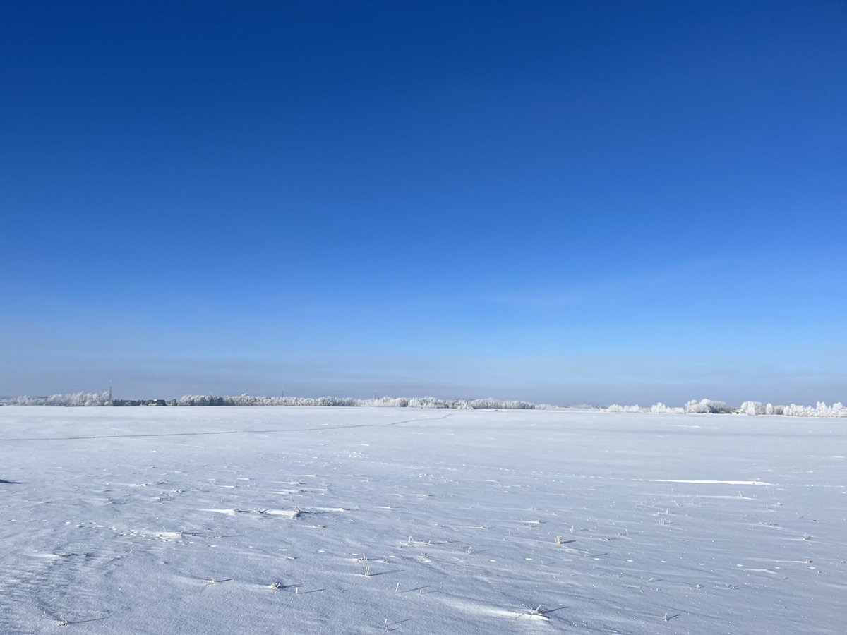 jjpsays's tweet photo. Took the kids out snowmobiling today, the frost is just so beautiful https://t.co/oUV7YMHMtM