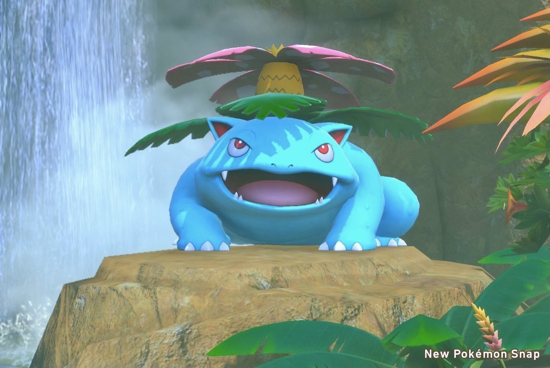 Don Don on Twitter "RT PokemonGems Look at this cute happy Venusaur"