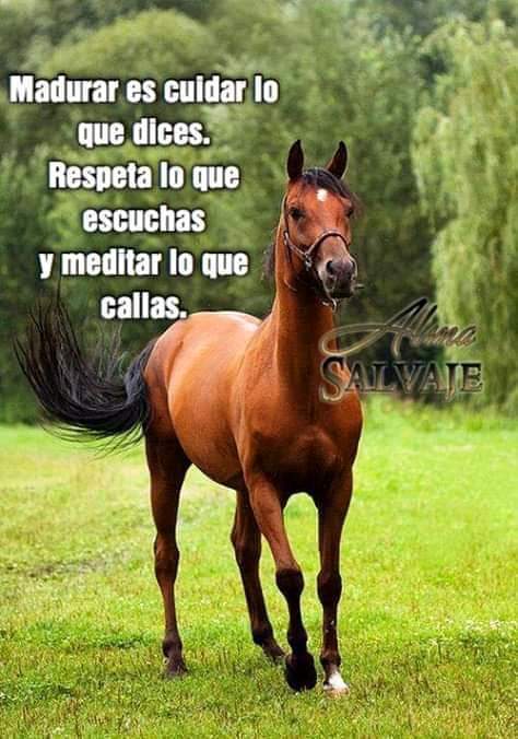 Norma Davila tweet media