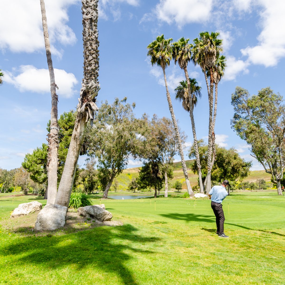 OceansideGolfCo's tweet photo. If your New Year's resolution is to lower your score, the best place to start is right here at Oceanside Golf Course. https://t.co/sIB5AO907G