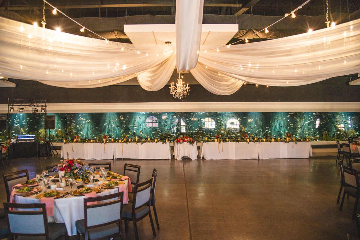 ToledoZoo's tweet photo. Recently engaged? Say "I Do!" at the Toledo Zoo! 🦒💍🐧
Contact the Group Sales Department at 419.385.5721 ext. 6001 to book your free site tour or learn more on our website: https://t.co/XxCFjLviNJ
#ToledoZoo #ToledoWedding https://t.co/OWw77dAkgg