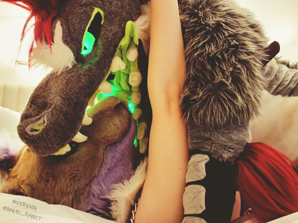 dergdog's tweet photo. how do dergdogs kiss?
with their teeth 👀💕

🐇: @bagel_rabbit
📸: @FeralFerrow https://t.co/dU9dVypENB