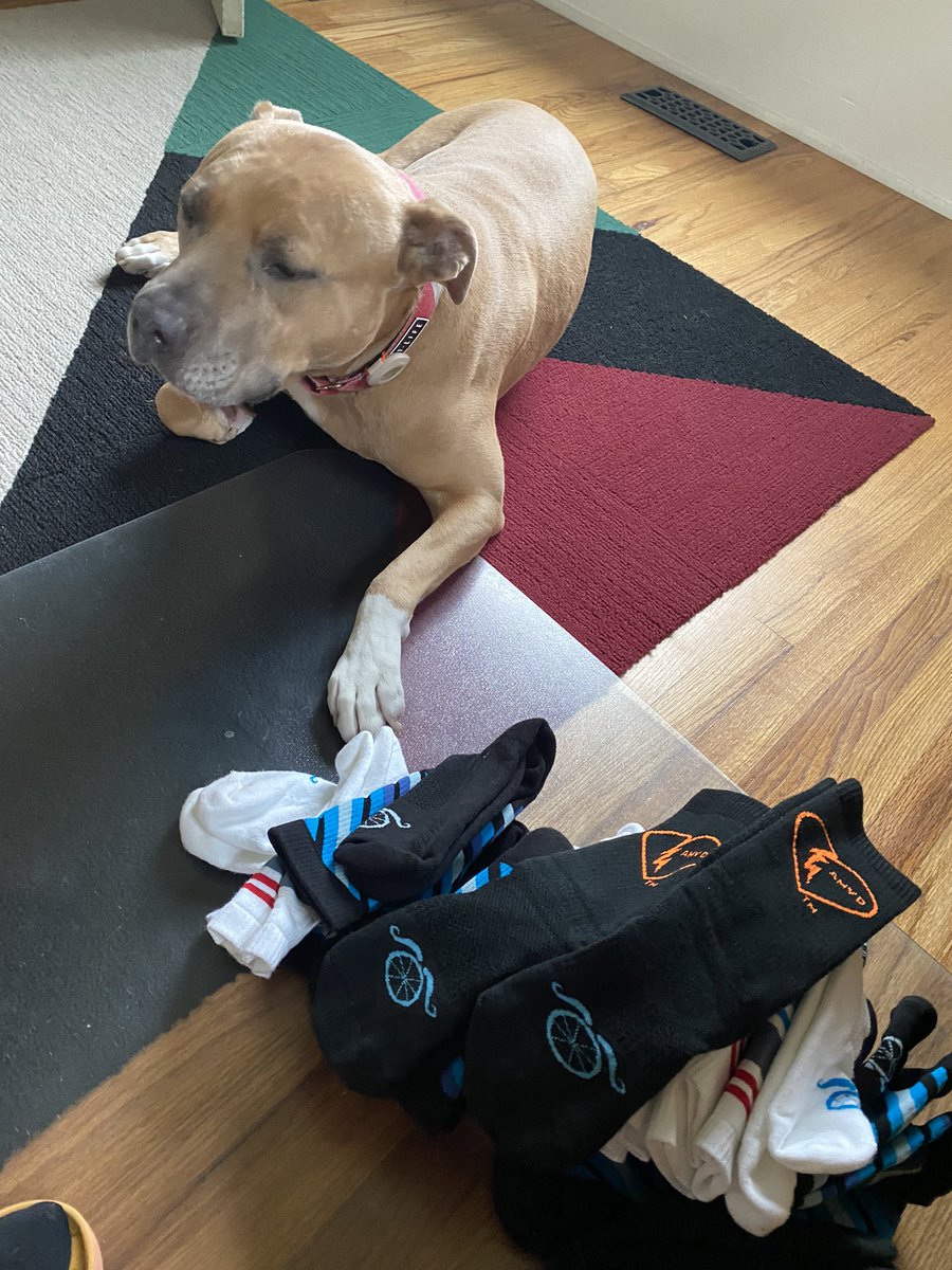 Thank you comrades <a href="/moondustapparel/">Moon Dust Apparel</a>. Cold weather socks are a huge need for people on the street.
I know from personal experience that the Amy D are warm af even if damp.