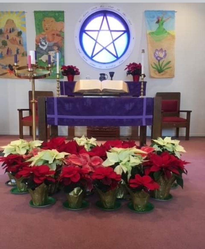 pcusabingewatch's tweet photo. Crestview Community Church #Callery #Pennsylvania poinsettias grace the chancel in December 2022.
#FridayFlowers
#Presbyterian #pcusa @SynodTrinity #poinsettias #Christmas2022 #Christmas #Advent #12DaysOfChristmas
#FlowersonFriday https://t.co/rQjcDlHM1D