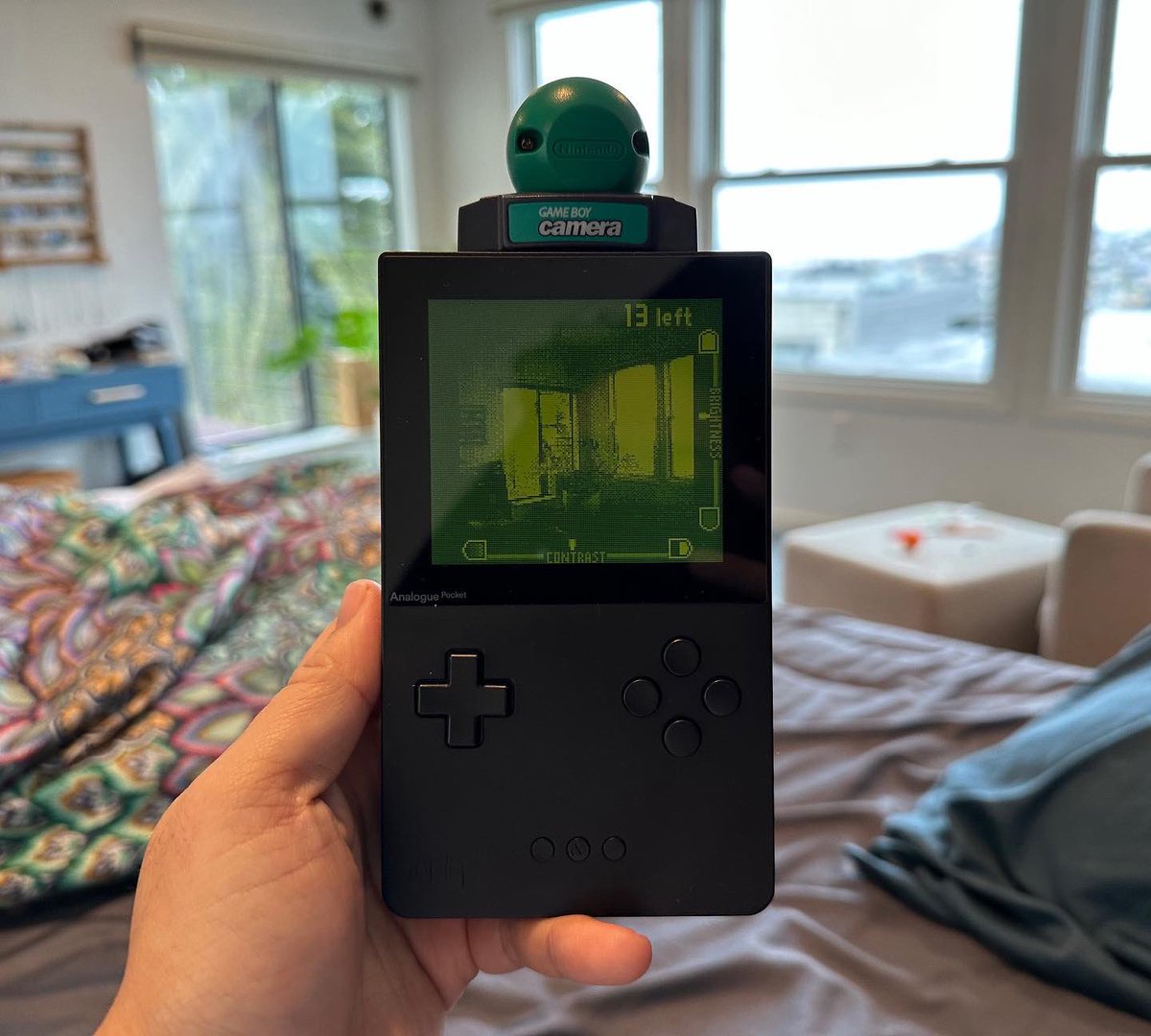 Bertrand Fan tweet media