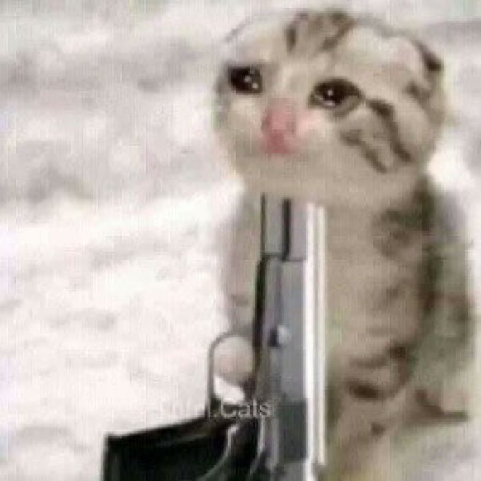 i try my best to hide dick pics when they post it under my tweets so nobody else have to suffer the way