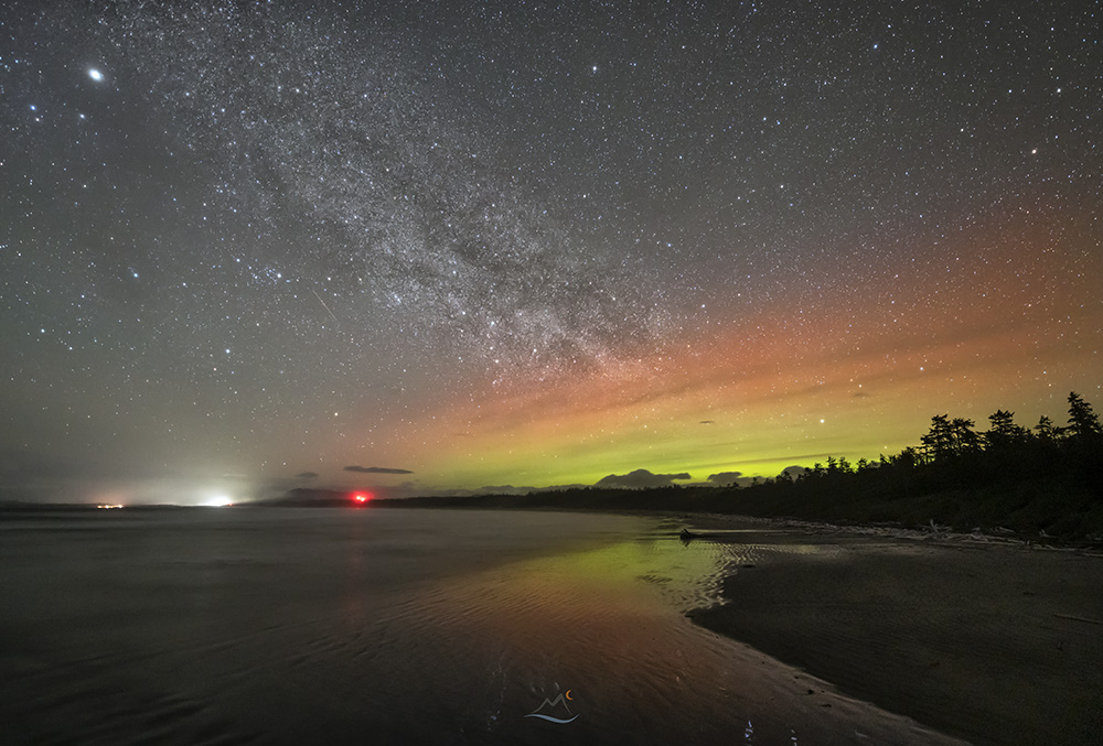 David McColm tweet media