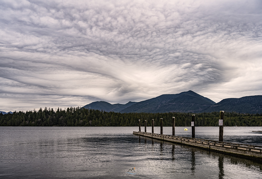 David McColm tweet media