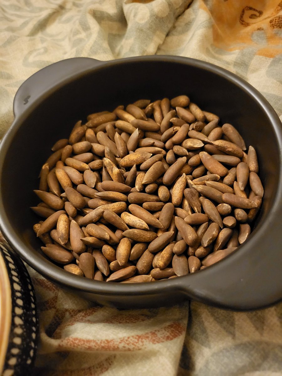 Winter Treat- Alhamdulillah