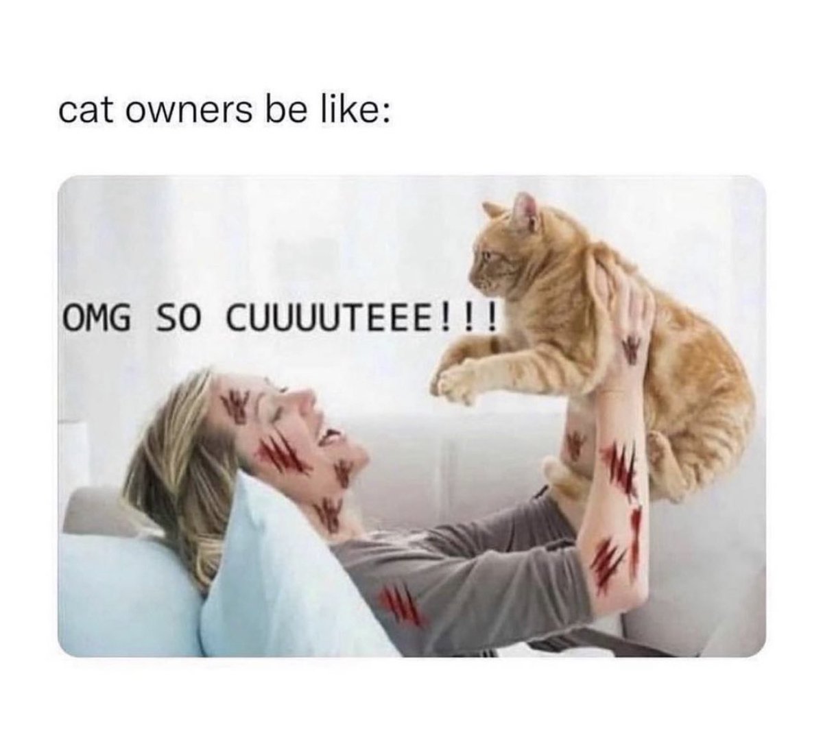 That’s why we drink 💁🏻‍♀️ #catmom