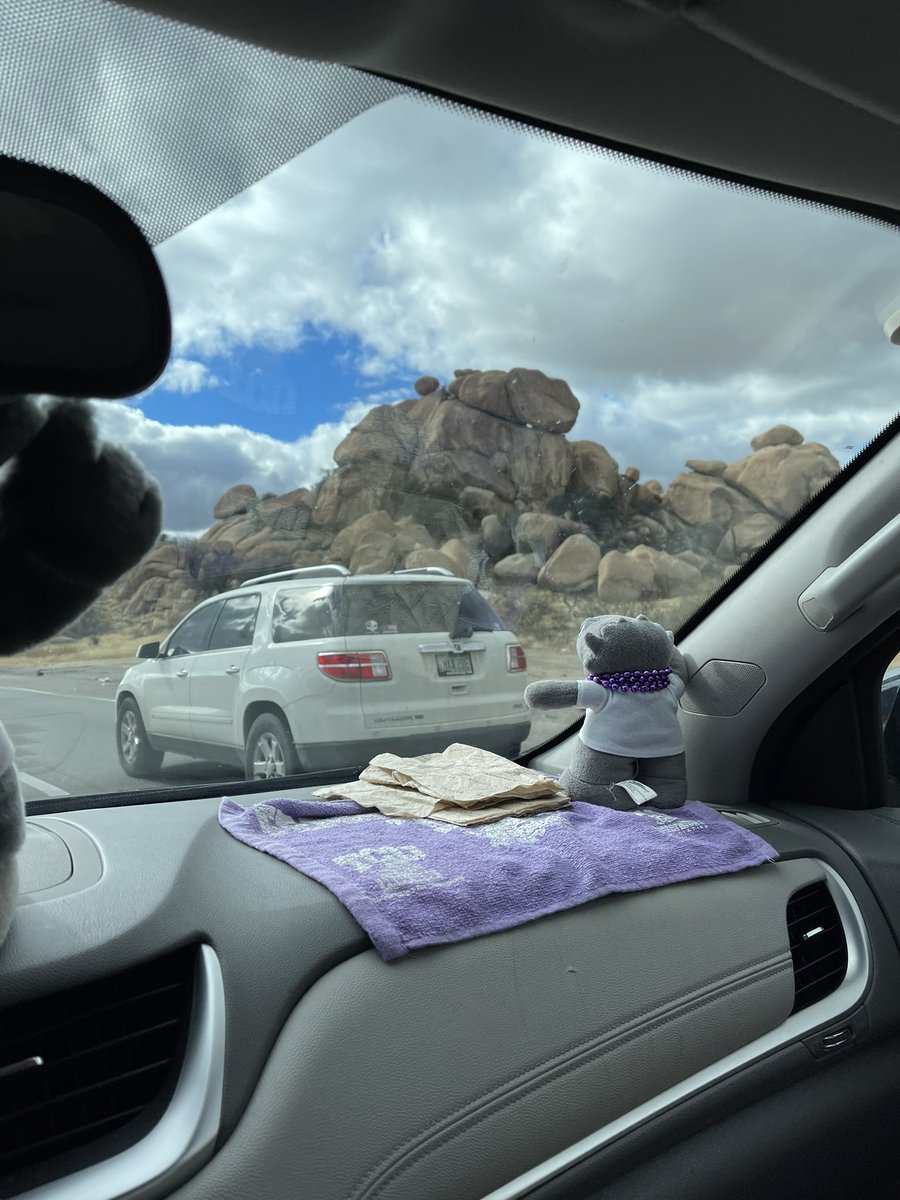 RhondaT34494499's tweet photo. More #Roadtoad pics https://t.co/EcnDtS8eFC