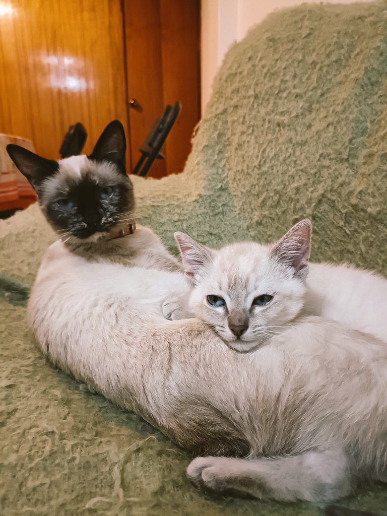 🦾damiánfdz🤖 🇲🇽 tweet media