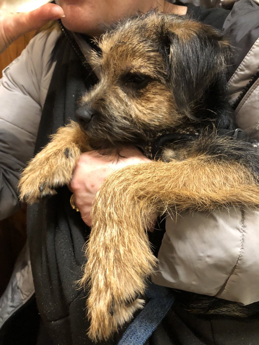 My day out at the lovely Bamburgh castle and Seahouses <a href="/BTposse/">Border Terrier Posse</a>