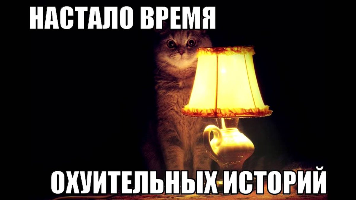 Vinni97248909's tweet photo. Пришло время офуительных историй, тред о моем коте Вене, или как привести хозяев в прединфарктное состояние, и испортить отпуск.⬇️ https://t.co/vMiL23jcuQ
