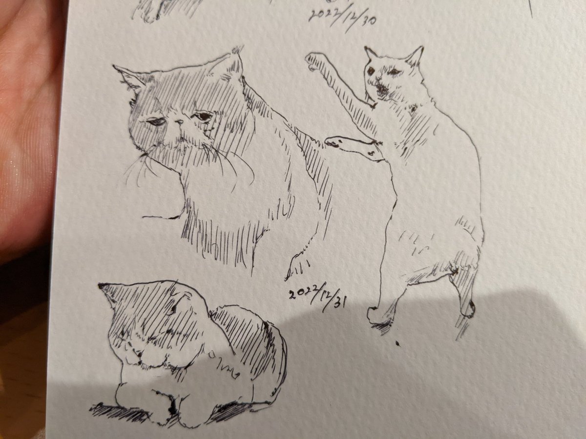 年末年始は一番体調管理が難しい時期 皆様ご自愛くださいませ 良いお年を〜 カキカキ。 