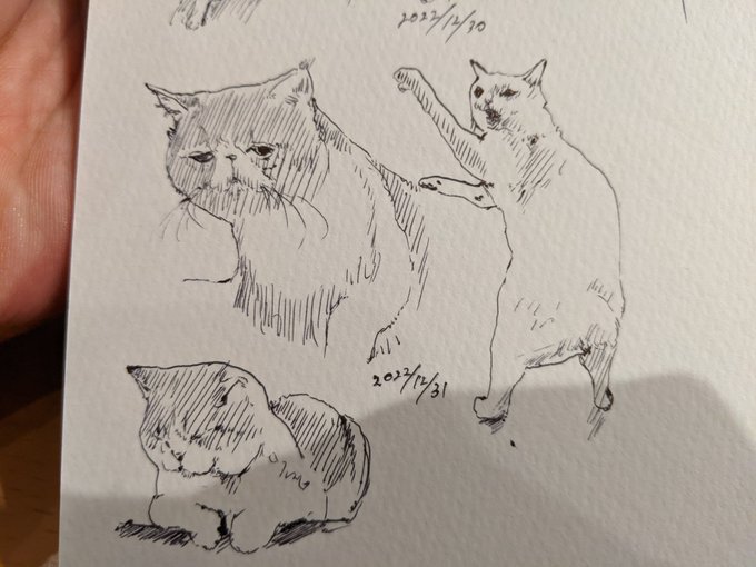 年末年始は一番体調管理が難しい時期 皆様ご自愛くださいませ 良いお年を〜 カキカキ。 