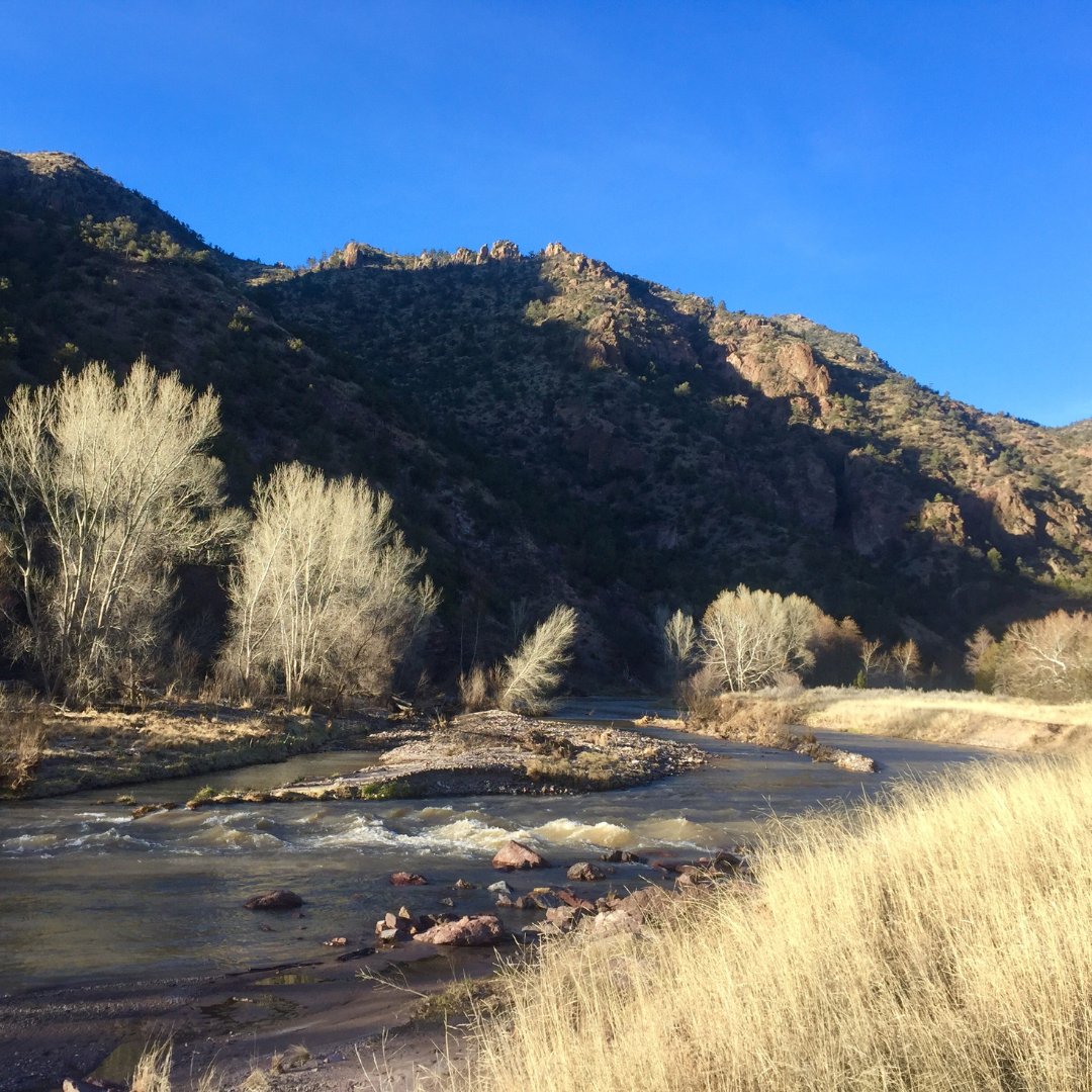 Whether it's the yellow-billed cuckoo, Chiricahua leopard frog, Northern Mexican garter snake, Southwestern willow flycatcher, or Gila trout, the #WildGilaRiver is home to a plethora of threatened and endangered species which deserve to be protected. #Gilariver #wildandscenic