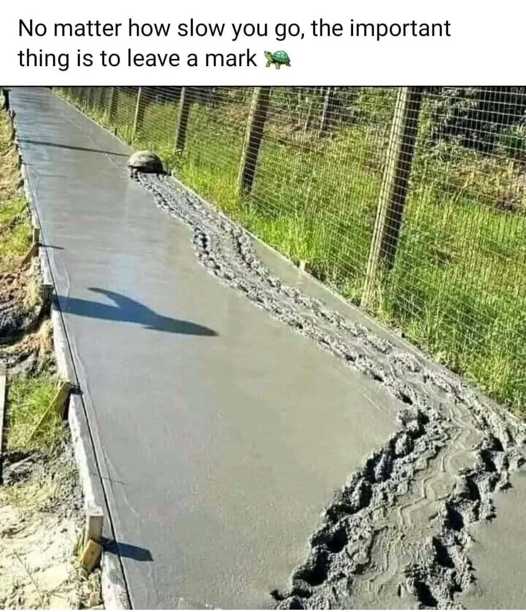 ABPVOfficial's tweet image. 