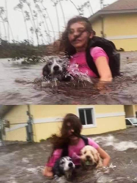 rogeliomtz75's tweet photo. Esta niña salvó a sus dos perritos del devastador Huracán "Dorian" en las Bahamas, cuando le preguntaron el porqué había arriesgado su vida por los perritos ella les dijo:
"Ellos son mi familia, y la familia no se abandona." 🐾 https://t.co/RMd9EedWtf